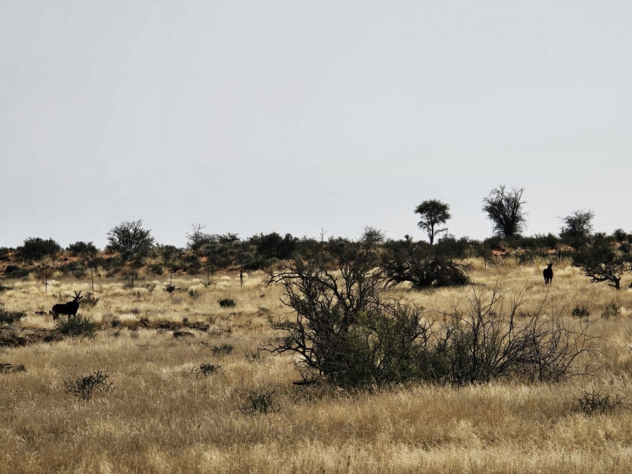 Commercial Property for Sale in Kenhardt Northern Cape